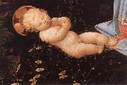 LIPPI, Filippino Portrait of an Old Man gs oil painting artist